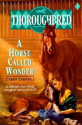 Thoroughbred