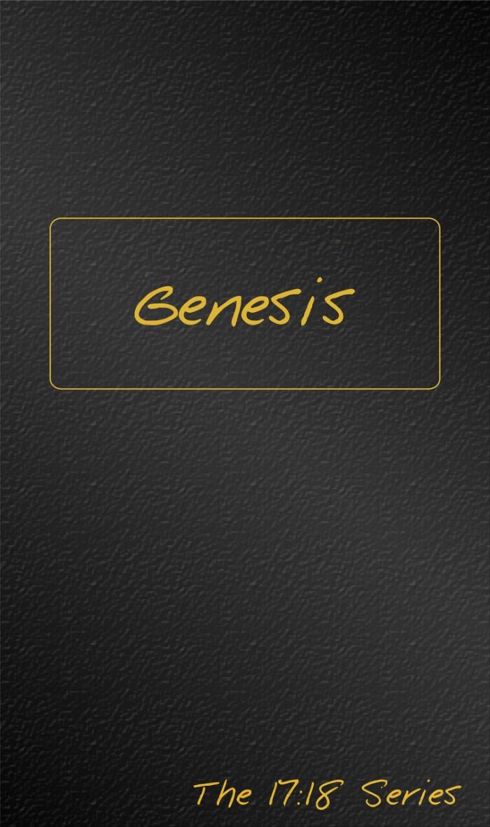 Genesis: Journible - The 17:18 Series, 2 Volumes
