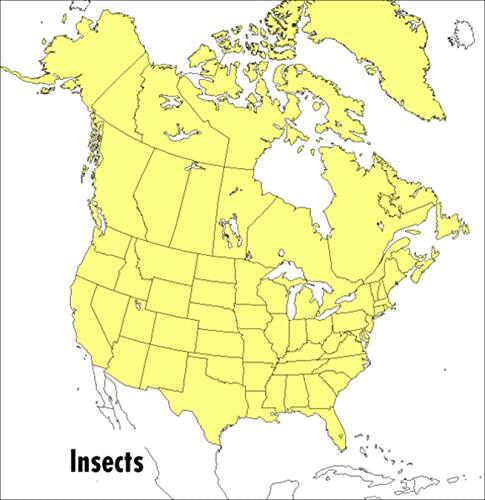 A Peterson Field Guide to Insects: America North of Mexico