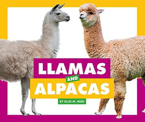 Llamas and Alpacas