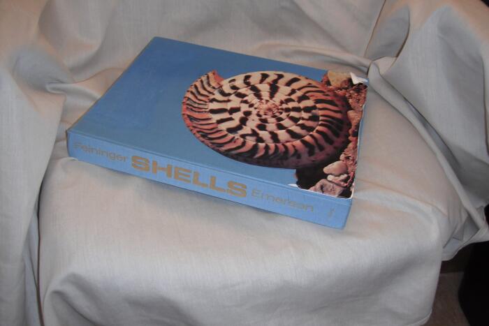 Shells