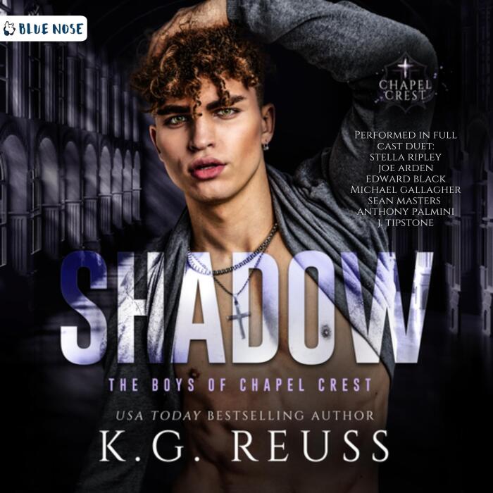 Shadow: A Dark Asylum Bully Romance