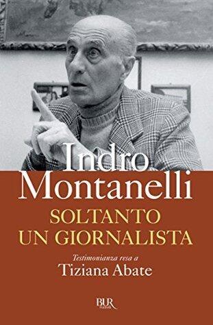 Soltanto un giornalista (Saggi)