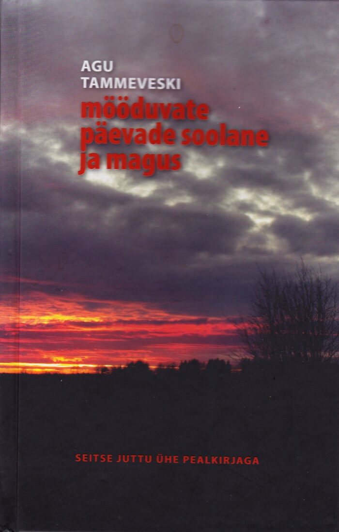 Mööduvate päevade soolane ja magus. Seitse juttu ühe pealkirjaga