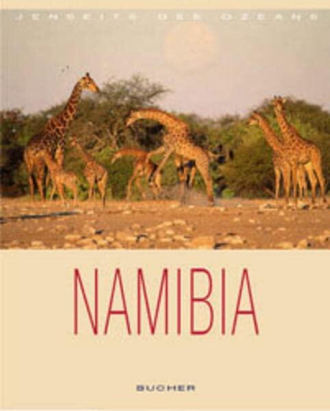 Jenseits des Ozeans. Namibia.