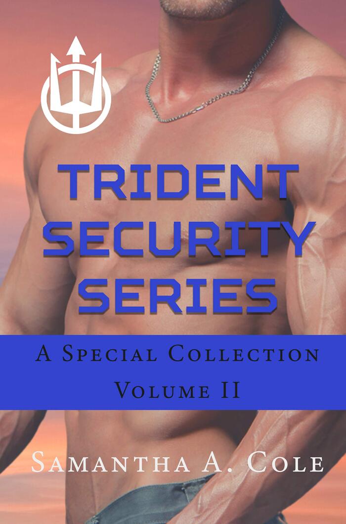 Trident Security Series: A Special Collection Volume II