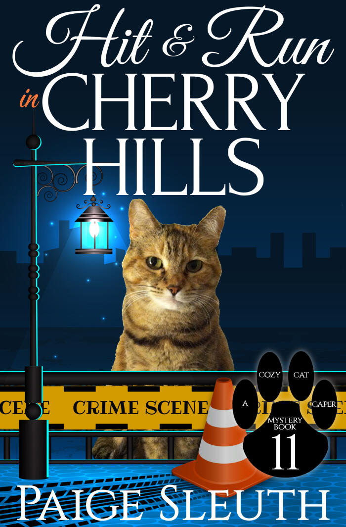 Hit and Run in Cherry Hills