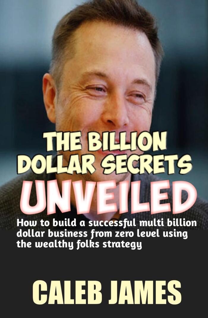 THE BILLION DOLLAR SECRETS UNVEILED: How to build a successful multi billion dollar business from zero level using the wealthy folks strategy