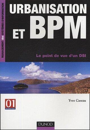 Urbanisation et BPM, Le point de vue d'un DSI
