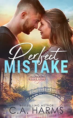 Perfect Mistake