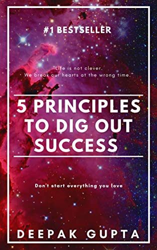 5 Principles To Dig Out Success: The Rules of Start, Roller coaster, Visibility, Stickiness, & Interstices