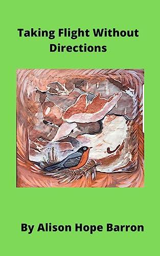 Taking Flight Without Directions