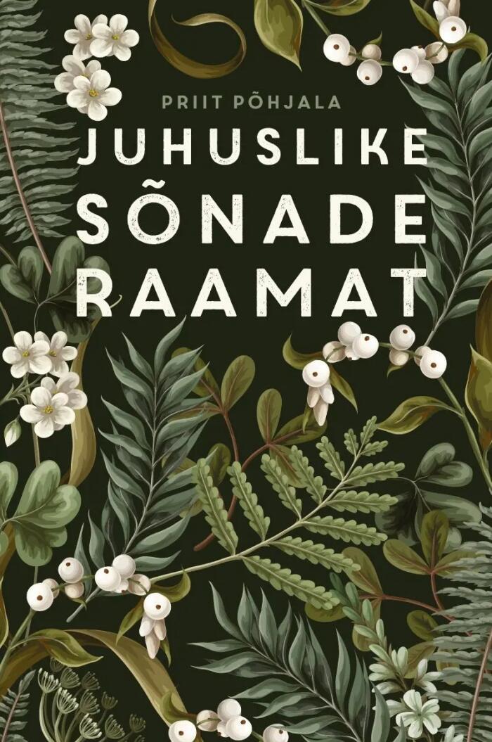 Juhuslike sõnade raamat