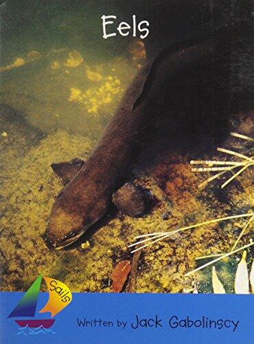 Eels (Sails Literacy Early
