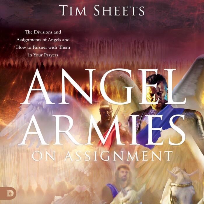 Angel Armies on Assignment: The Divisions and Assignments of Angels and How to Partner with Them in Your Prayers