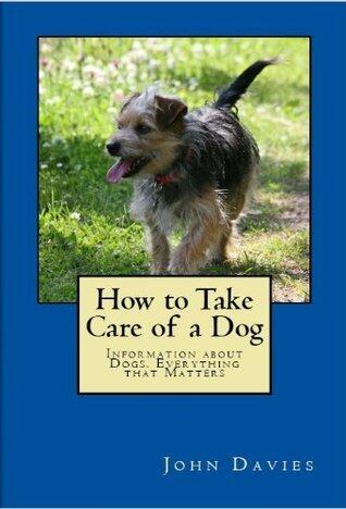 How To Take Care of a Dog