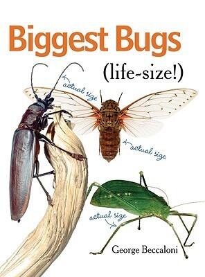 Biggest Bugs Life-Size