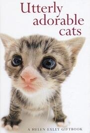 Utterly Adorable Cats