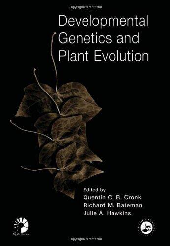 Developmental Genetics and Plant Evolution
