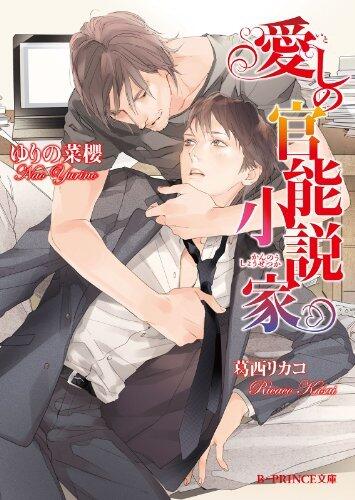 愛しの官能小説家