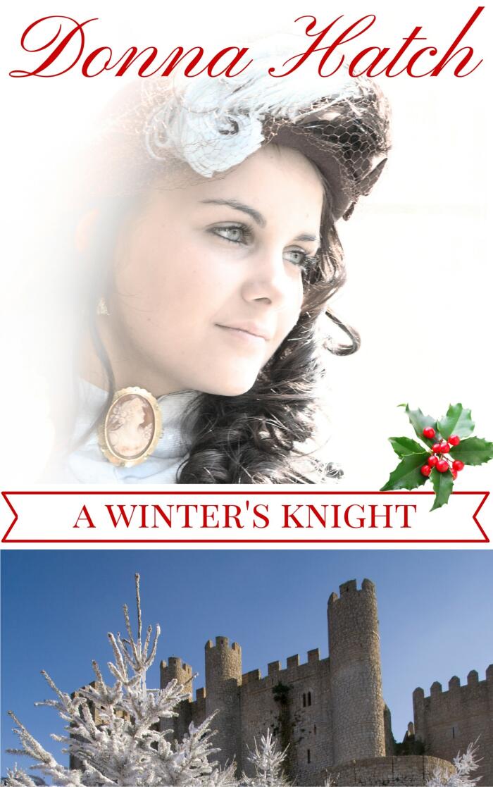 A Winter's Knight