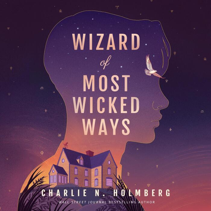 Wizard of Most Wicked Ways: Whimbrel House, Book 4