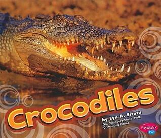 Crocodiles
