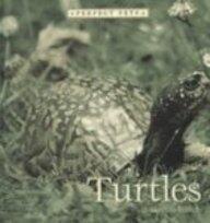 Turtles