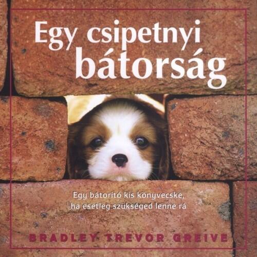 Egy csipetnyi bátorság