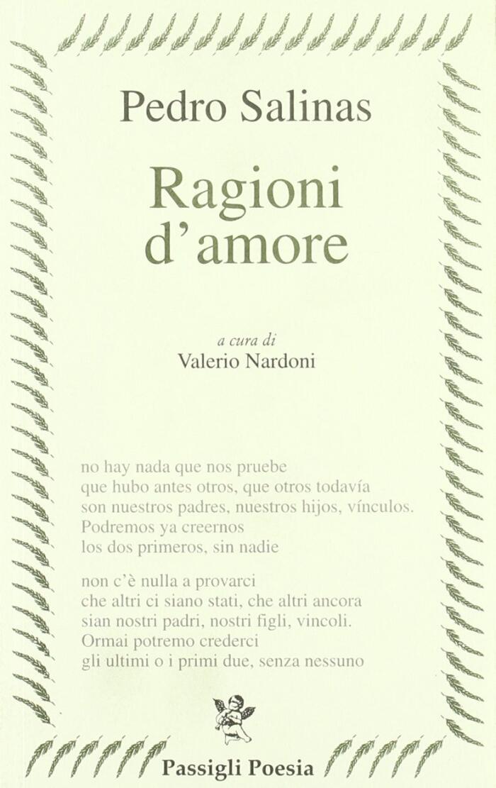 Ragioni d'amore