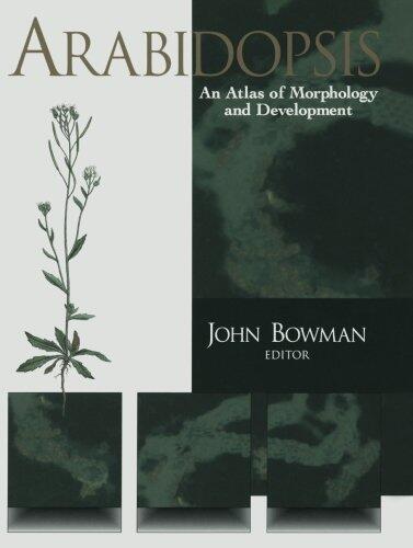 Arabidopsis: An Atlas of Morphology and Development