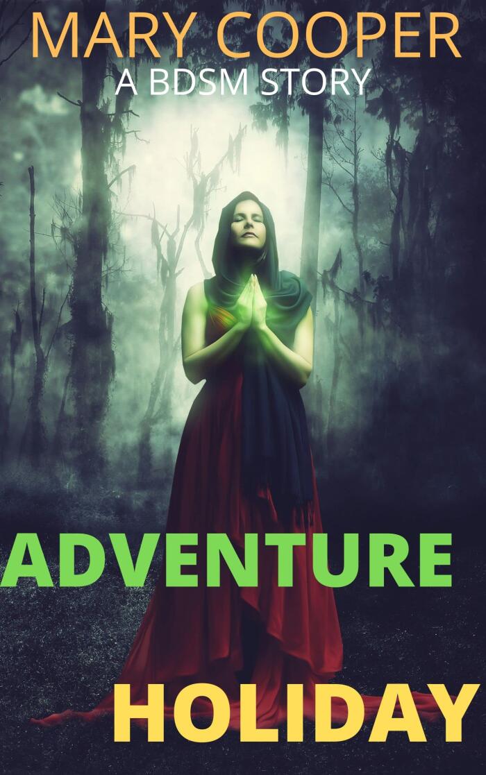ADVENTURE HOLIDAY: A bdsm, blindfolds, butt plug, bondage, cane, abduction, cuffs, dominant, female domination, femdom, FFm Stories