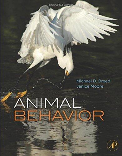 Animal Behavior