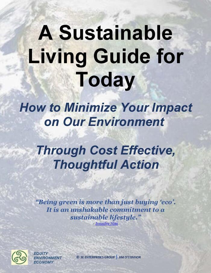 A Sustainable Living Guide for Today: How to Minimize Your Impact on Our Environment Through Cost Effective Thoughtful Action