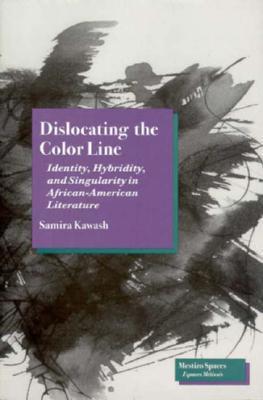 Dislocating the Color Line: Identity, Hybridity, and Singularity in African-American Narrative