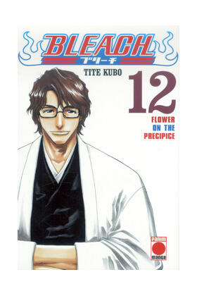 Bleach, tomo 12: Flower on The Precipice
