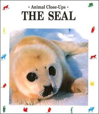 The Seal : Furry Swimmer