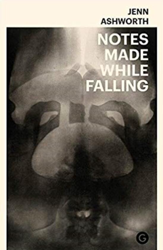 Notes Made while Falling