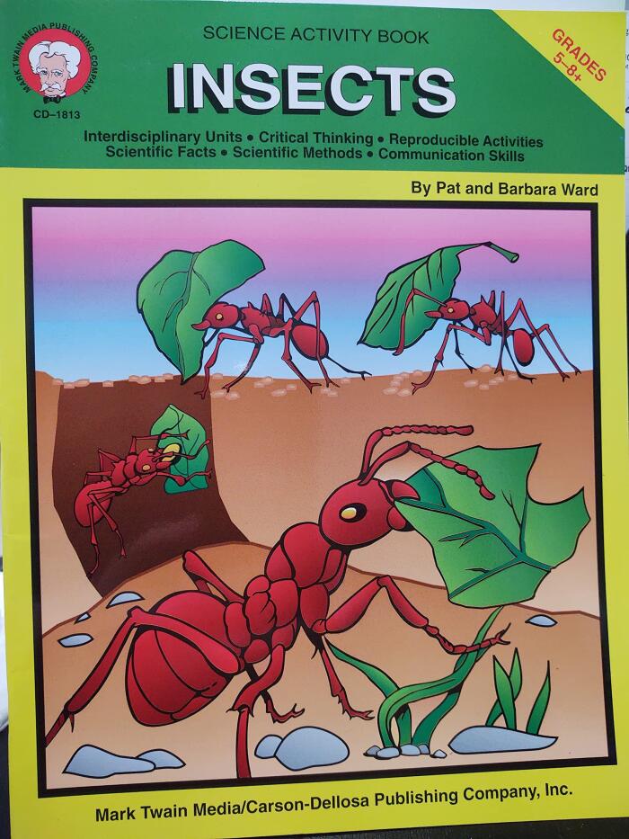 Insects