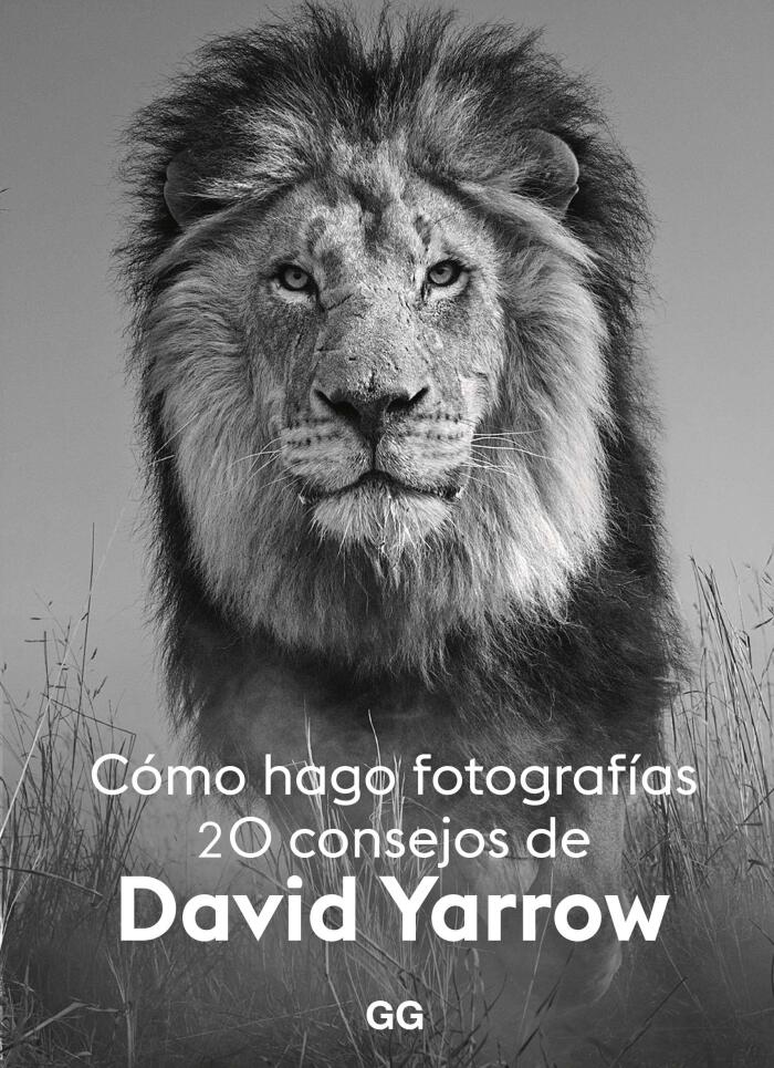 Cómo hago fotografías: 20 consejos