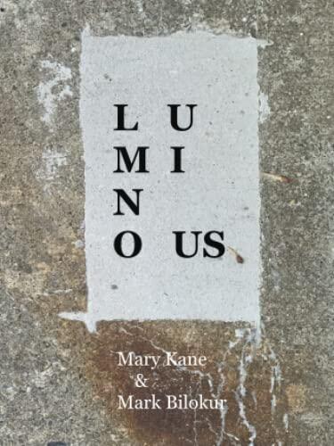 Luminous: A Forty-Four Day Exchange of Drawings and Sentences while Wandering The Tibetan Book of the Dead