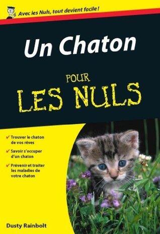 Un Chaton Pour les Nuls
