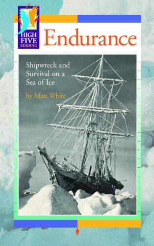Endurance: Shipwreck and Survival on a Sea of Ice