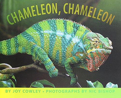 Chameleon, Chameleon: Little Big Book (Grade K)