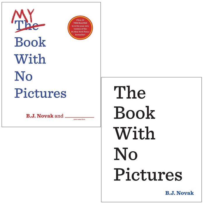 My Book With No Pictures
