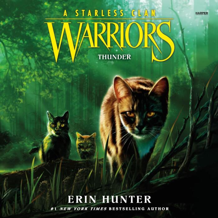 Thunder: Warriors: A Starless Clan, Book 4