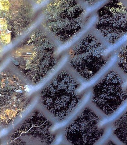 Sons of Adam: Landscapes for the Homeless II
