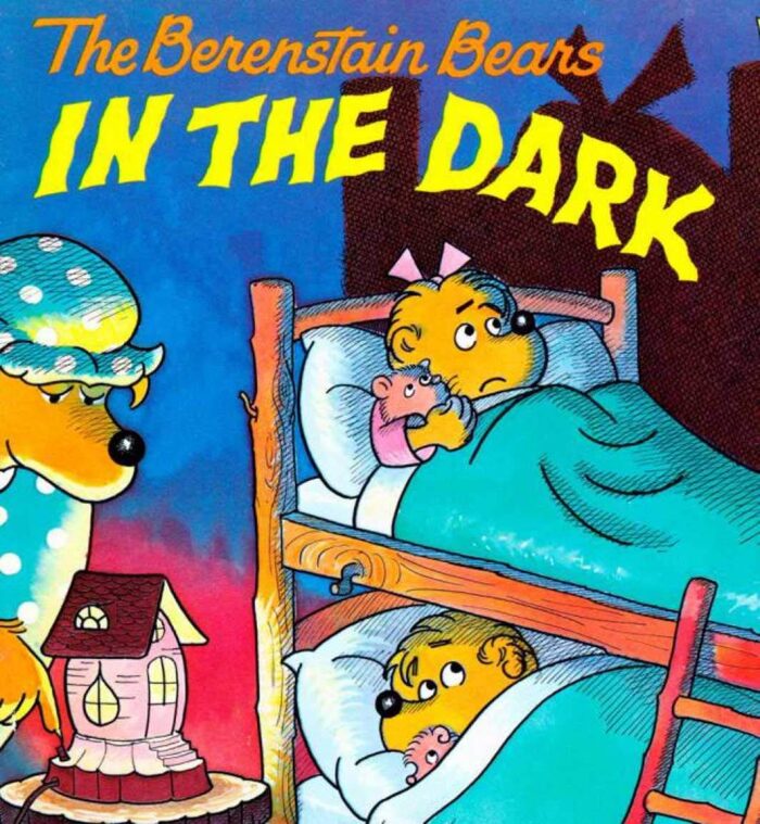 Berenstain Bears In the Dark