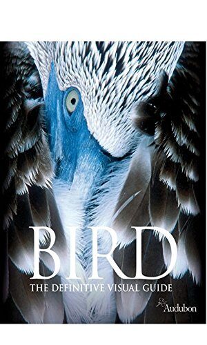 Bird: The Definitive Visual Guide