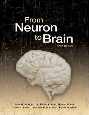 From Neuron to Brain (Palgrave, 2012)